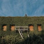 196官网最新动态:关注平台更新与用户反馈的重要性 aqa317g74r