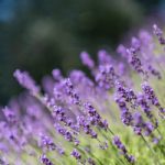 1916娱乐的魅力:如何在现代生活中找到乐趣与放松 gh9dix