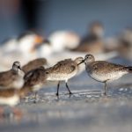 1122体育:探索全新体育赛事直播平台的魅力 lr77sfc