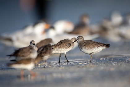 1122体育：探索全新体育赛事直播平台的魅力