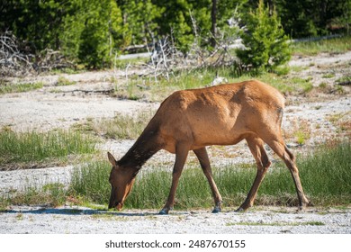 0857贵宾会活动回顾：精彩瞬间与难忘回忆的分享