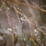 196体育官网:探索最新体育赛事和精彩直播的最佳平台 w5pw6n