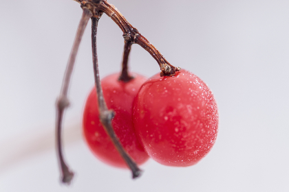 .cn直播吧：畅享精彩赛事直播的专属平台