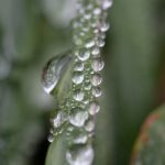 007期3D开奖号历史全回顾:探寻号码走势与规律 4fpvi