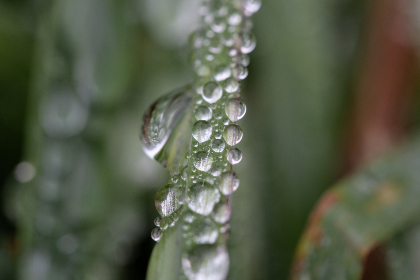 007期3D开奖号历史全回顾：探寻号码走势与规律