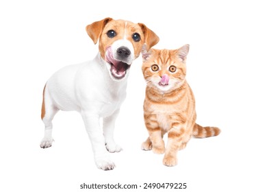 eltahd高清直播：畅享极致视听盛宴与精彩赛事