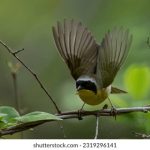 21选五最新开奖结果今日公布查询 7m51s574u