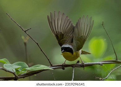 21选五最新开奖结果今日公布查询