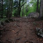 elta直播全新升级,独家内容抢先看! 9352v