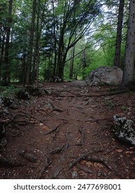 elta直播全新升级，独家内容抢先看！