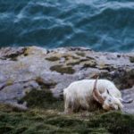 21号3D开奖结果震撼公布,幸运号码揭晓 9c7sxal