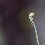 21号彩票开奖结果公布,幸运号码震撼揭晓 a4rfts9