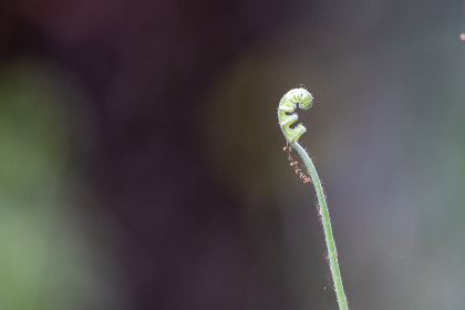 21号彩票开奖结果公布，幸运号码震撼揭晓