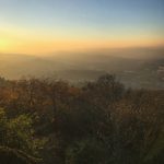 008488开奖现场最新实况播报与结果查询 hsx4a1ti