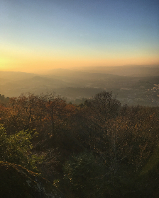 008488开奖现场最新实况播报与结果查询